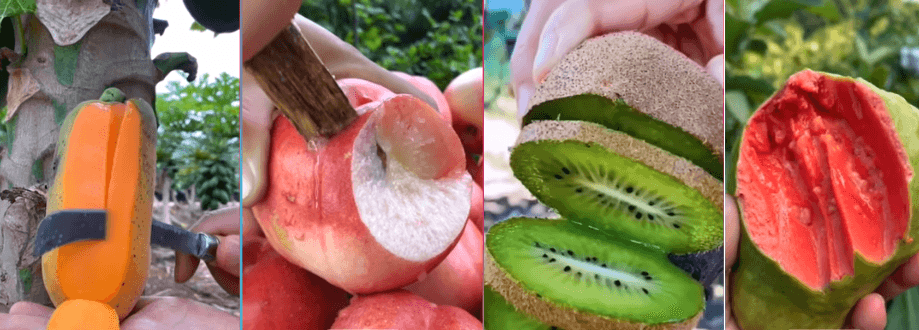 Citrus fruits like oranges and lemons rich in vitamin C for winter immunity